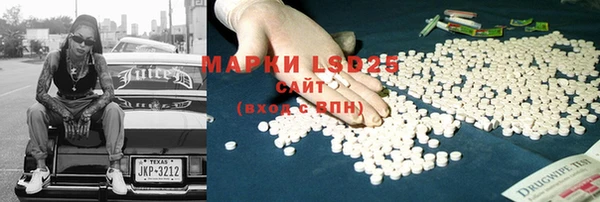 амф Липки