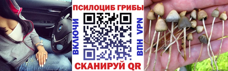 Галлюциногенные грибы GOLDEN TEACHER  дарк нет как зайти  Удачный  купить наркоту 